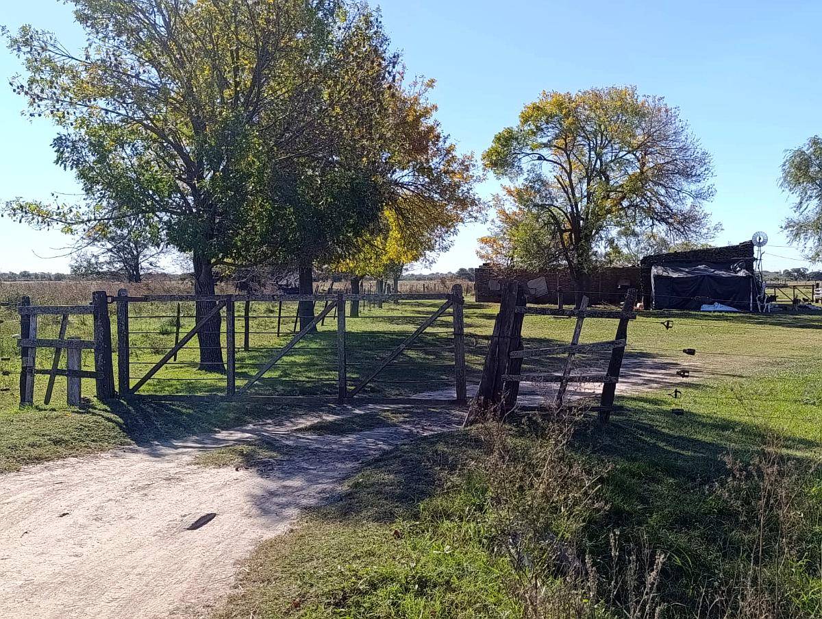 Campo 74 Ha – Pilar, Santa FE – Apto Tambo y Ganadería