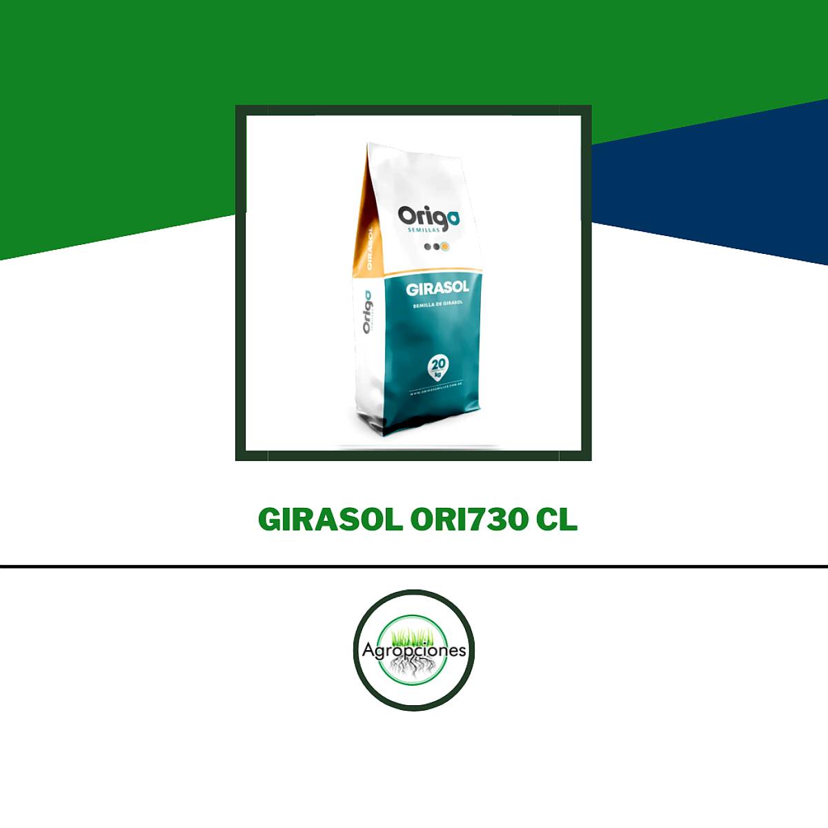Semilla de Girasol ORI730 CL - Origo Semillas