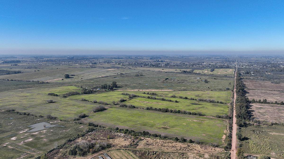 Pcia. de Buenos Aires - Marcos PAZ 185 Has