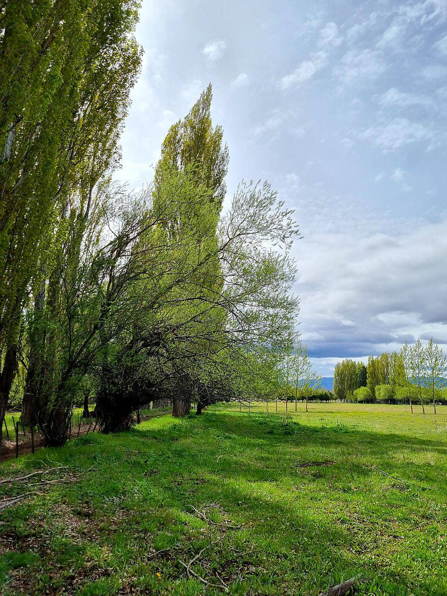 Campo Mixto en Esquel, Precordillera