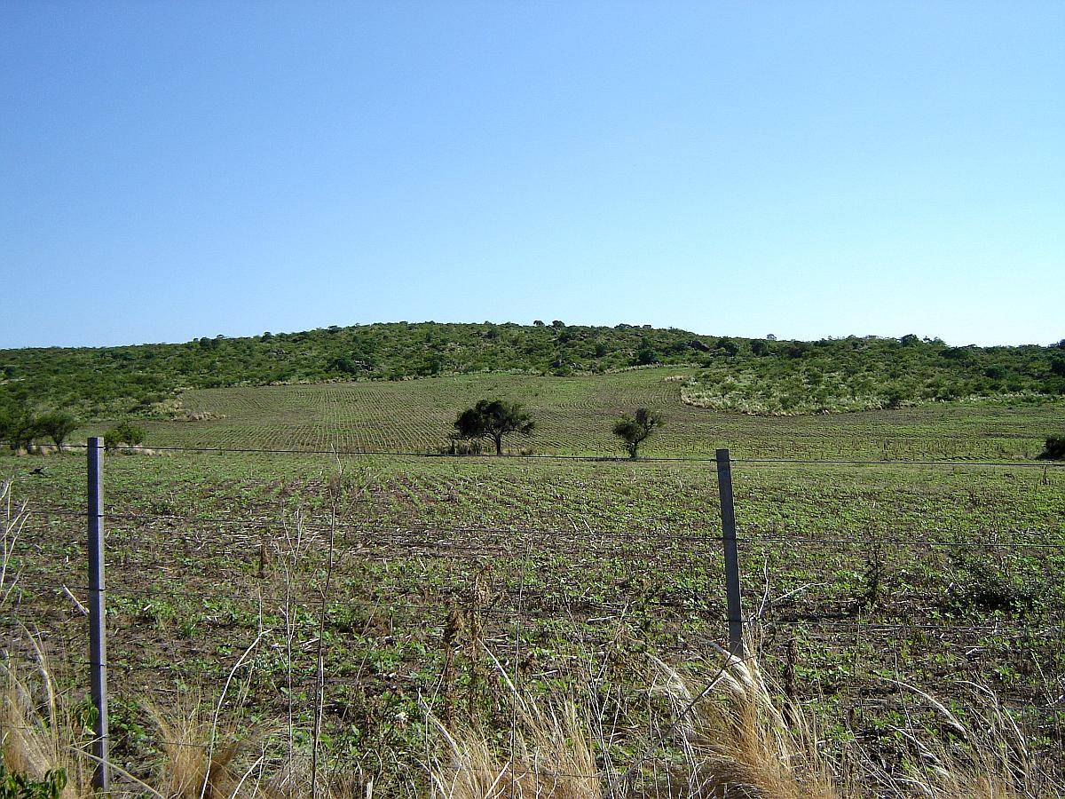 935 Hectareas en Villa Albertina