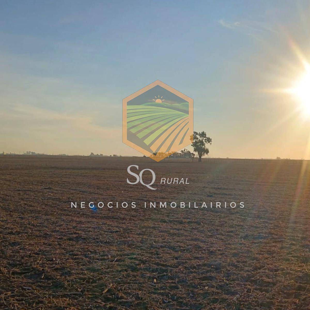 Campo Agrícola 65 Has en Vedia