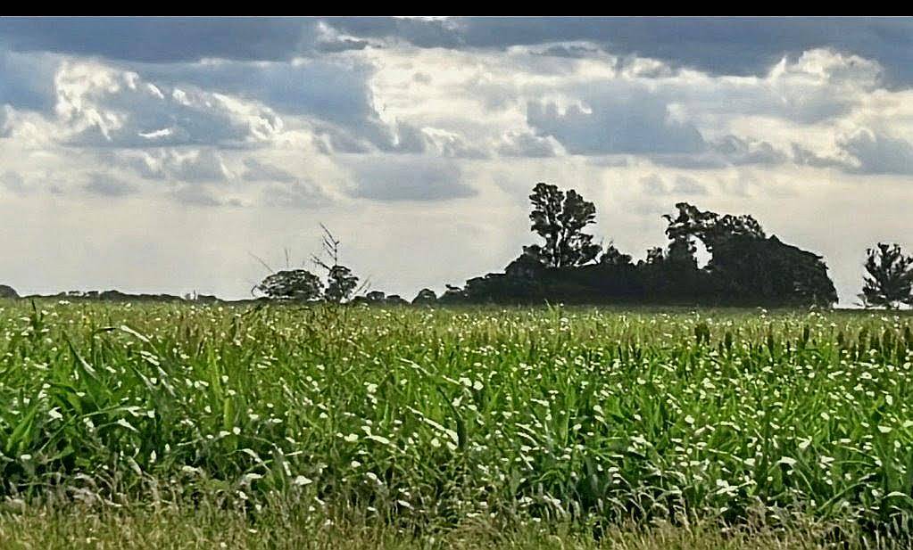 80 Ha SE Venden a 3 km Autovia 19.