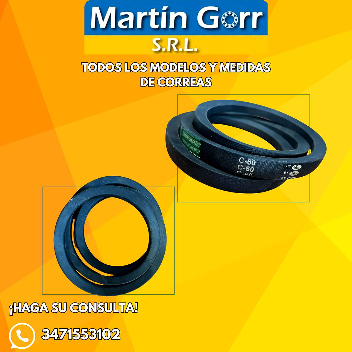 Correas Todas las Medidas y Modelos