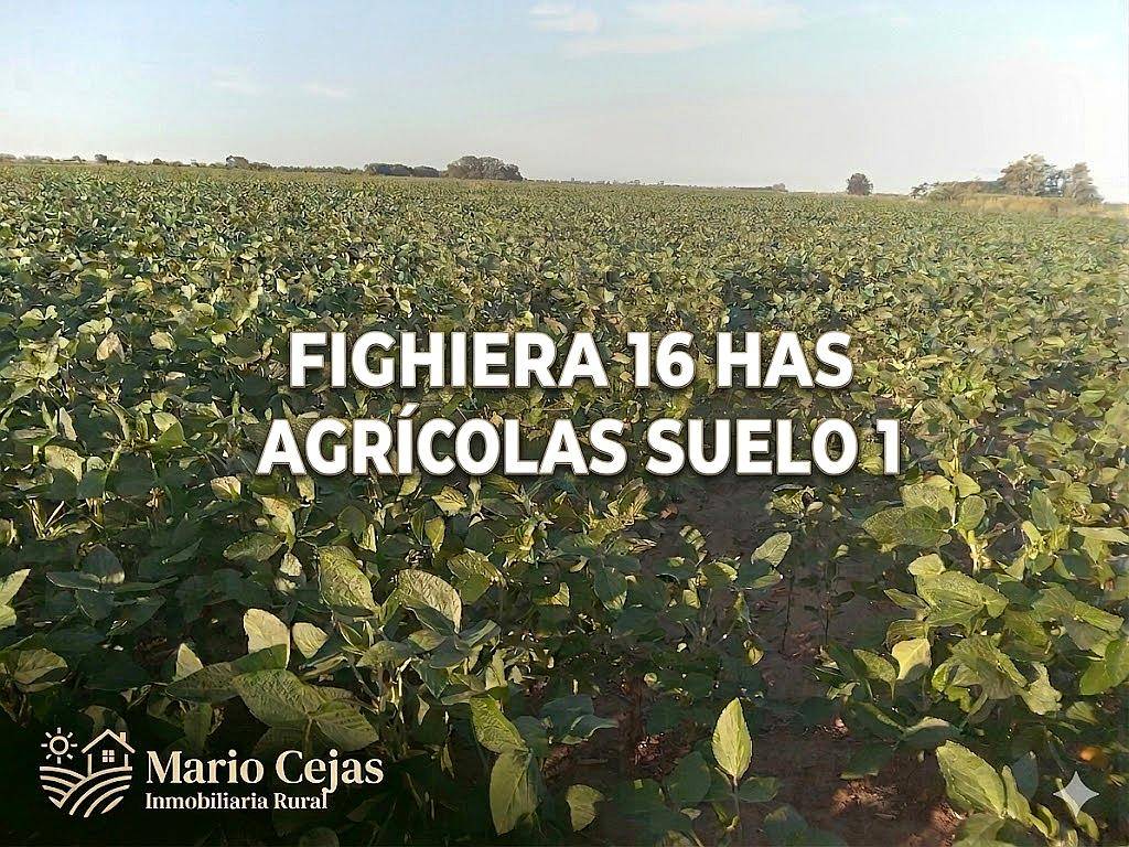 Fighiera 16 Has Agrícolas Suelo 1