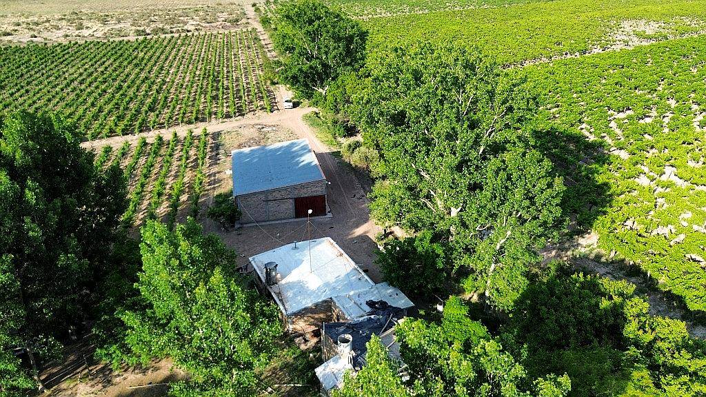 Finca Productiva con Pozo 29 Ha -san Martin - Mendoza