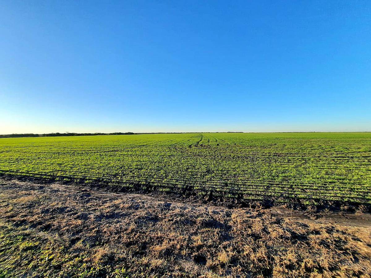 248 Ha Mixtas Mayormente Agrícola. en Rosario del Tala