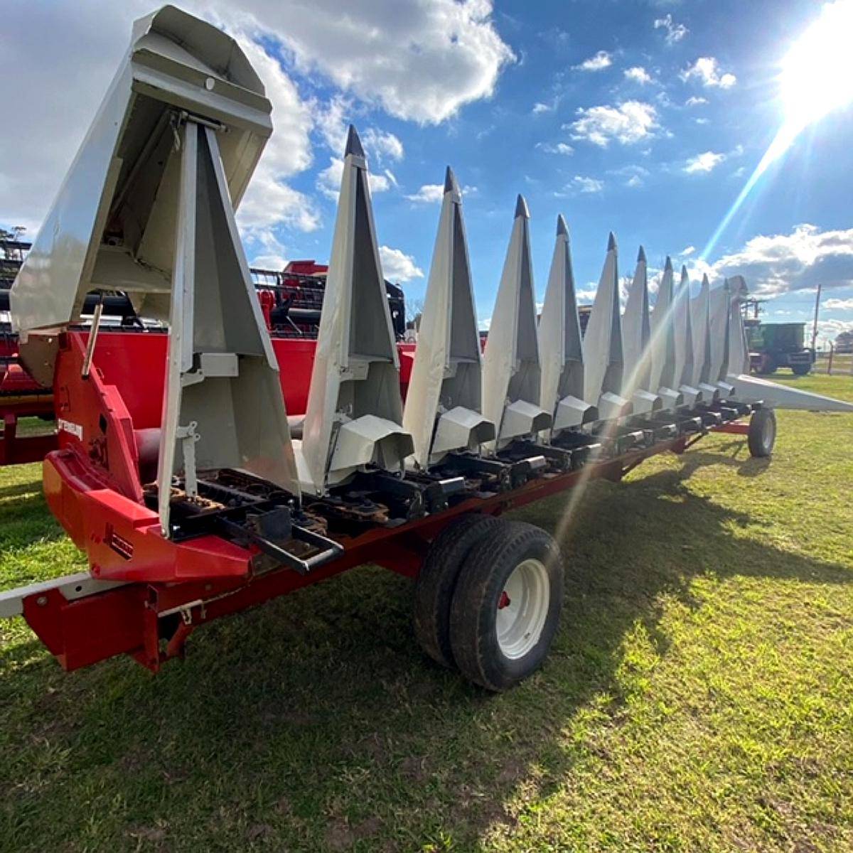 Maicero Maizco 12 a 52 Premiun