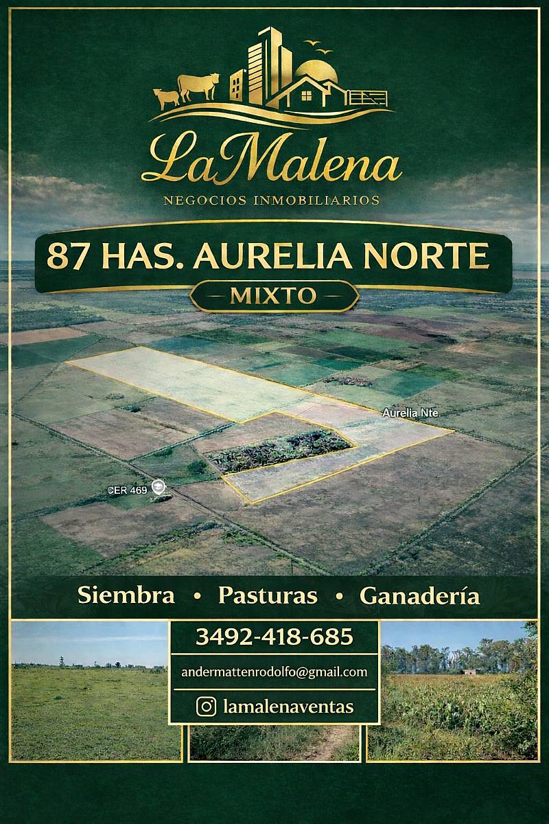 Vendo 87 Has Mixtas Aurelia Norte