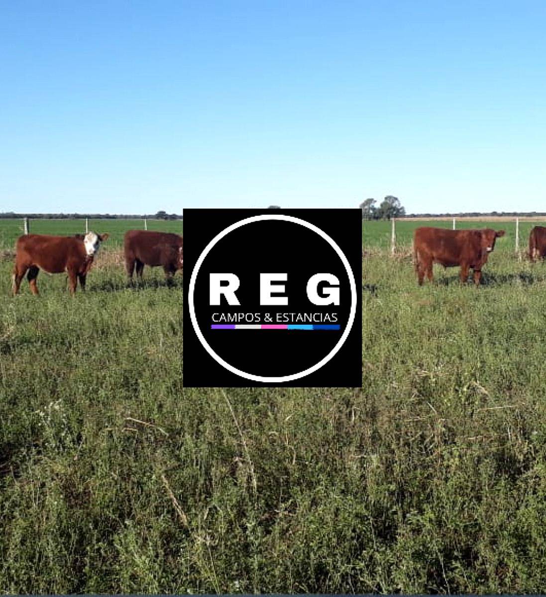 600 Hectareas en la Maruja