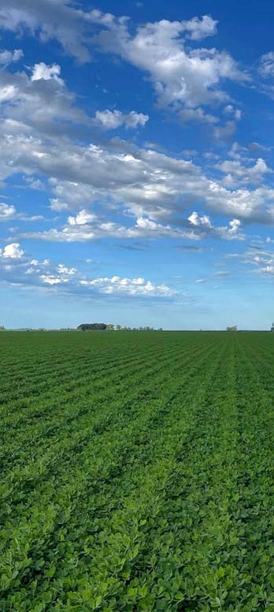 Departamento Conhello, la Pampa