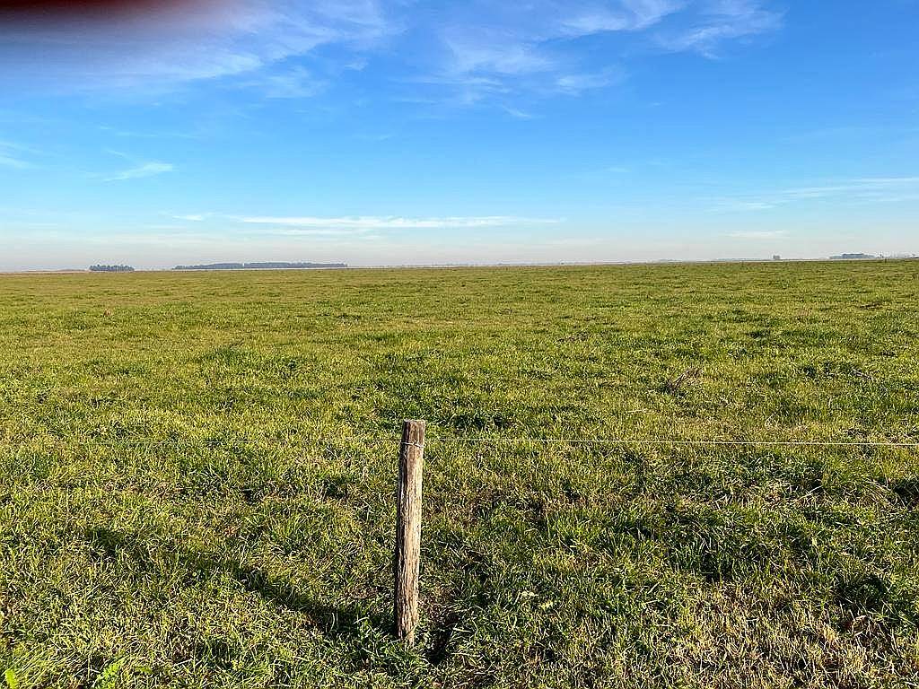 Campo 250 Ha Mixtas Venta Saladillo