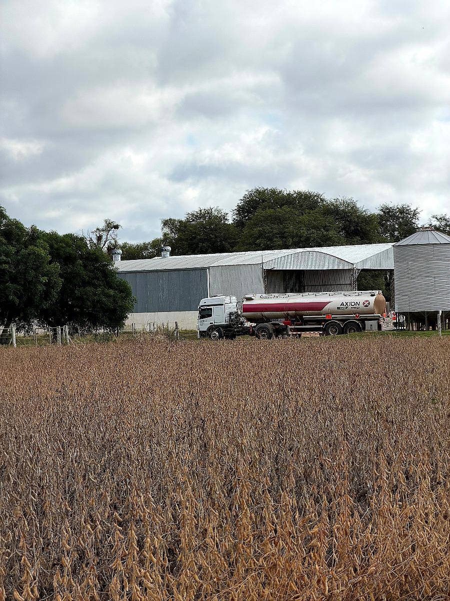 Gasoil/ Diesel X10 - Axion Agro Energy