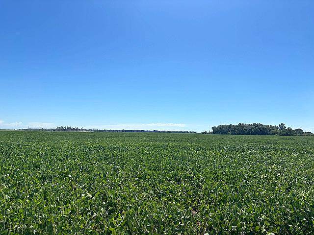 120 Has 100 % Agrícolas sin Desperdicios