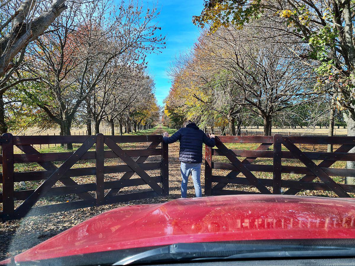 1000 Ha en San Antonio de Areco