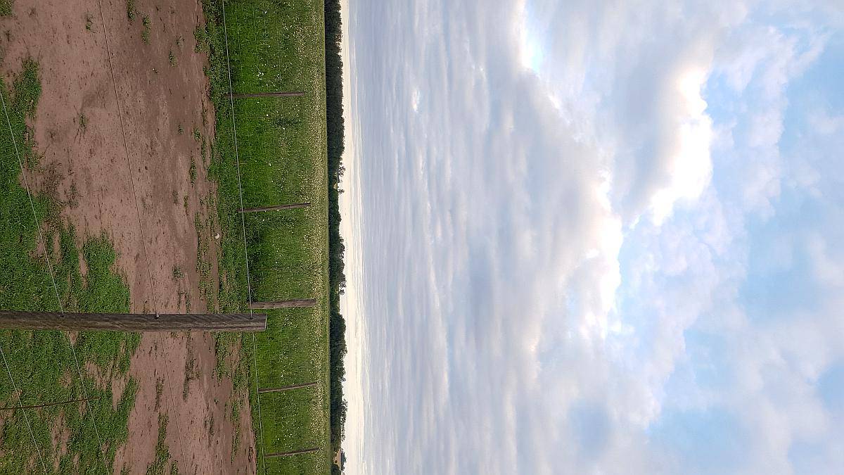 440 HA, Aptitud Mixta, Bigand, Santa FE