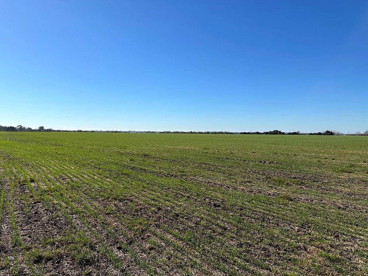 Campana, Buenos Aires - 101 Ha