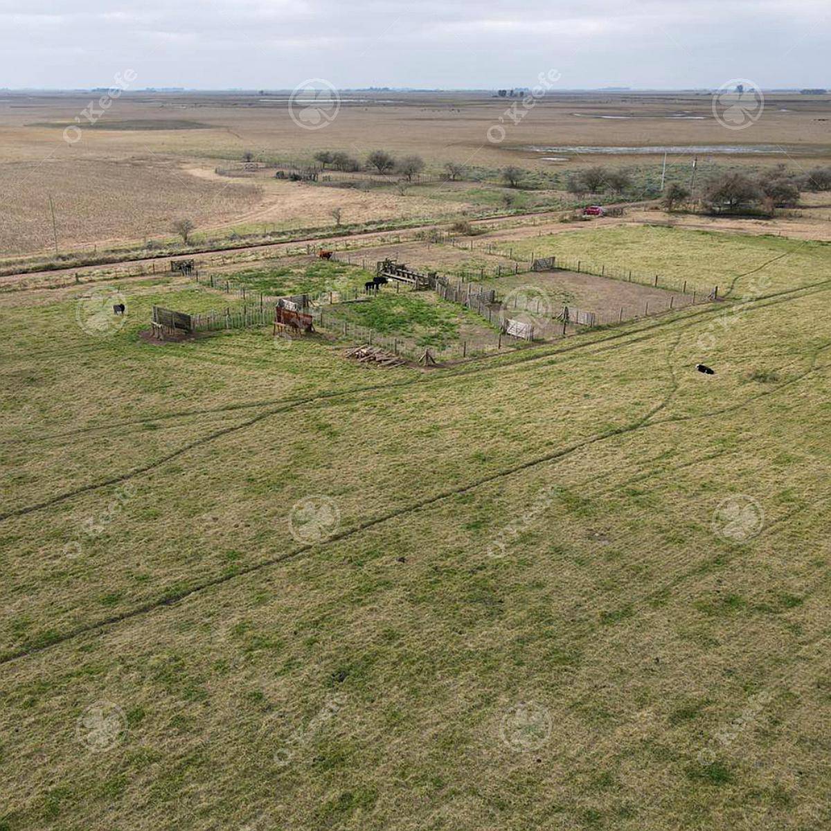 Campo en Venta de 210 Has en Dolores