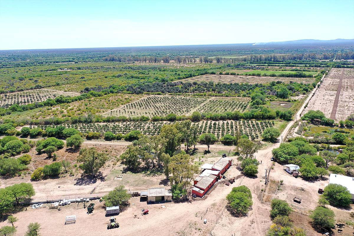 Campo Agrícola Ganadero 285 HA, las Playas, Córdoba.