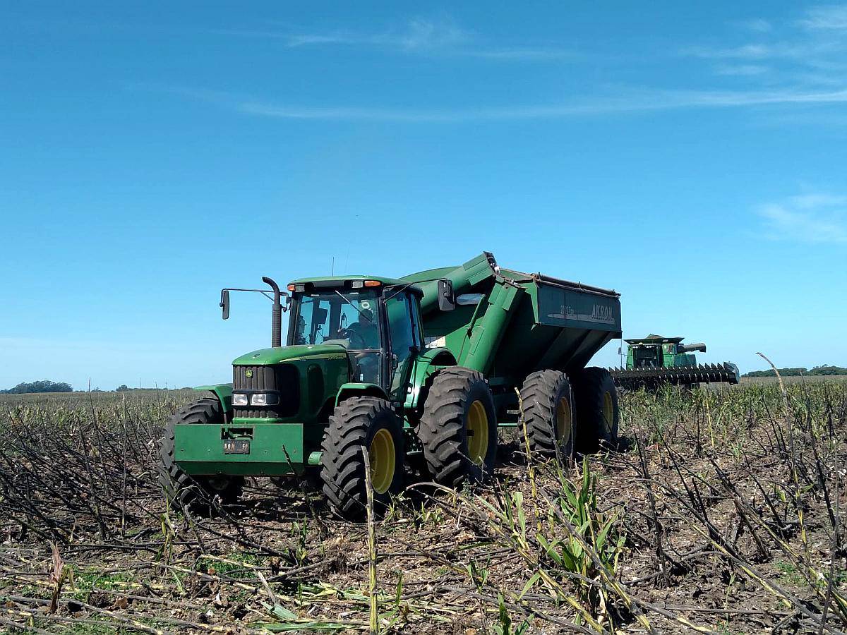 John Deere 7515 año 2008. 8700 Hs. ROD Paton Año 2008 Agroads