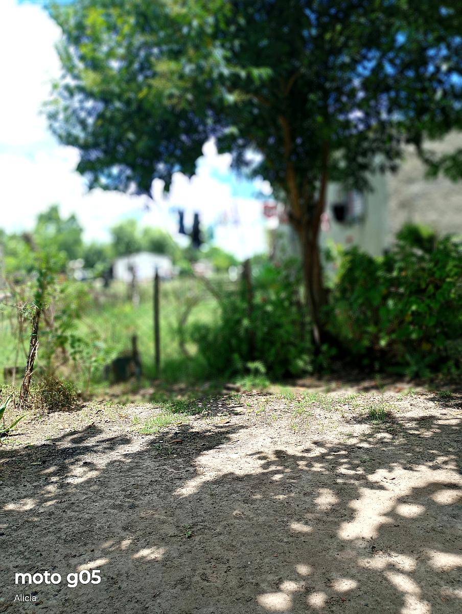 Buscamos Trabajo de Casero.parquero