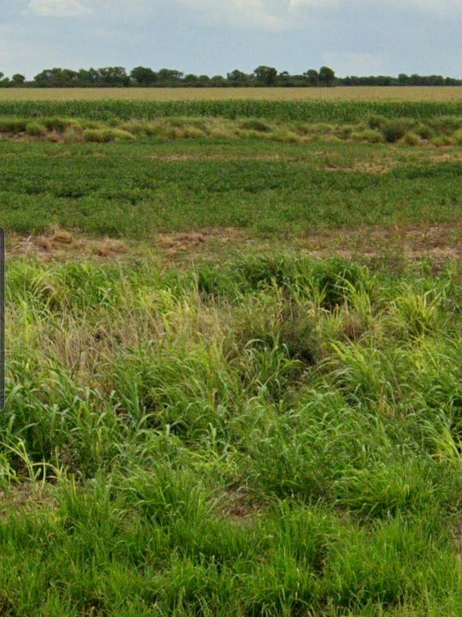 Terrible Oportunidad en Quimili Arriendo Campo