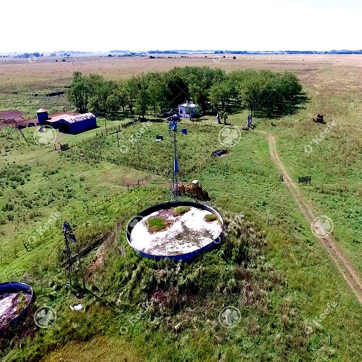 Campo Mixto en Venta 686 Has en San Vicente
