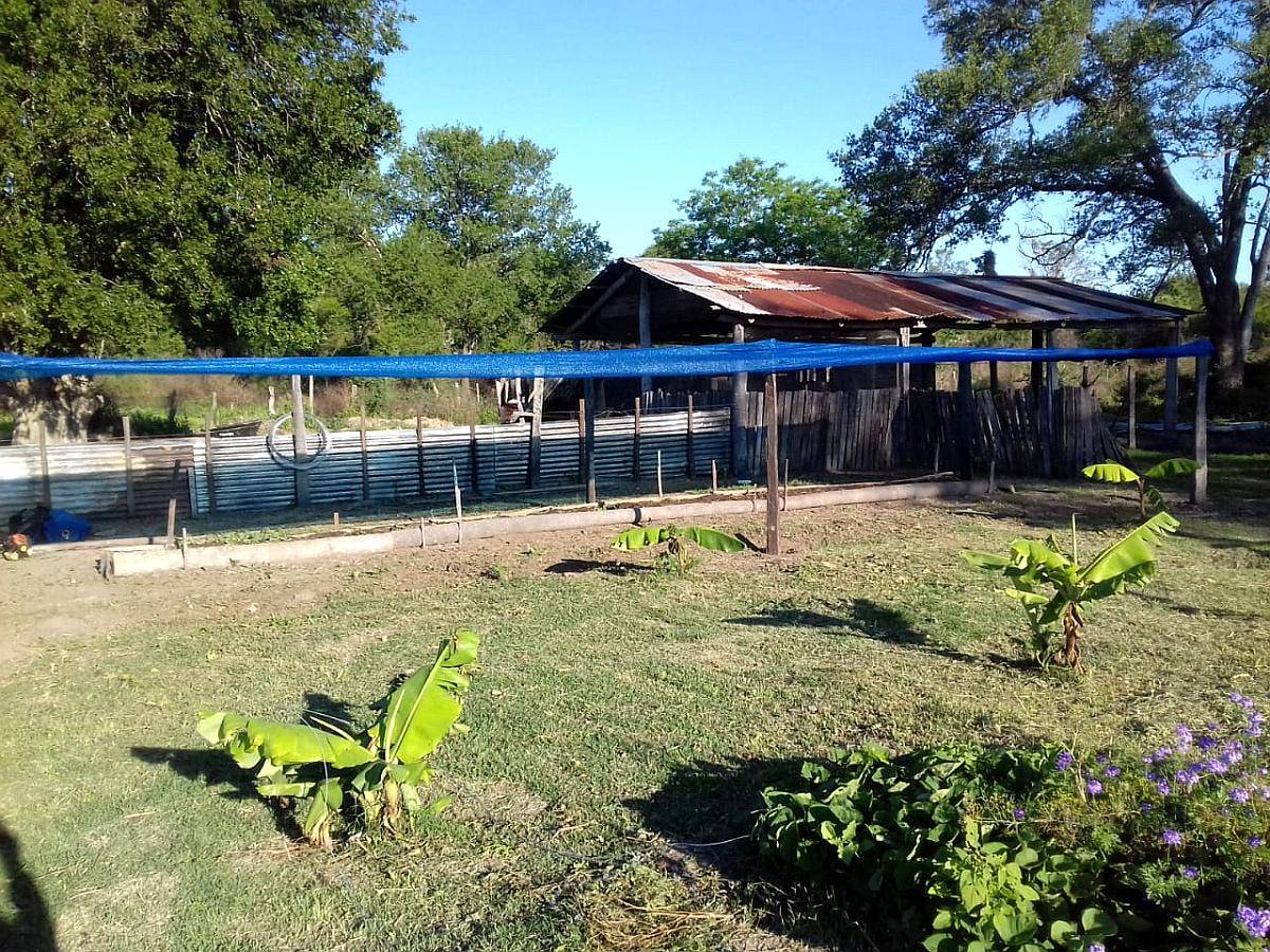 2.895 Ha en Paraguay- Magnífica para Ganadería