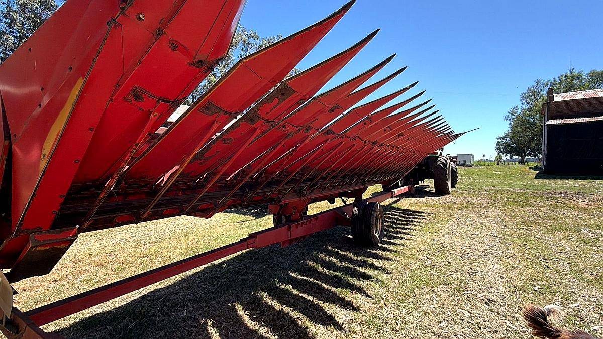 Girasolero Mainero 1040 12 a 70 P/case