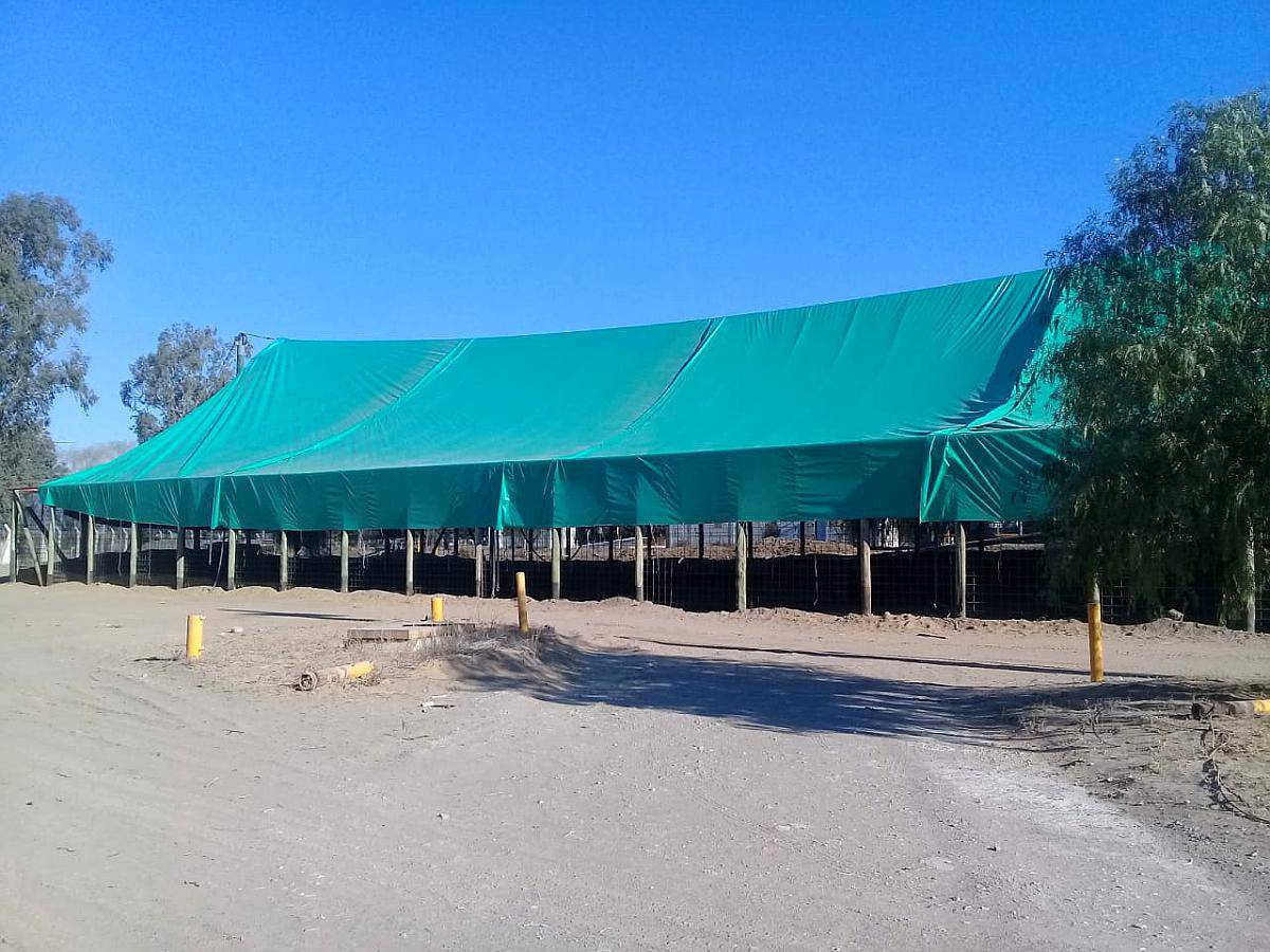 Celda de Silos Australianos a Medida Kaizen Lonas