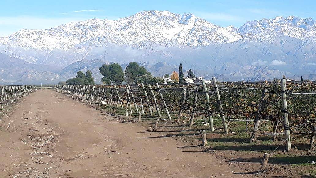 Bodega con Viñedo en Valle de UCO