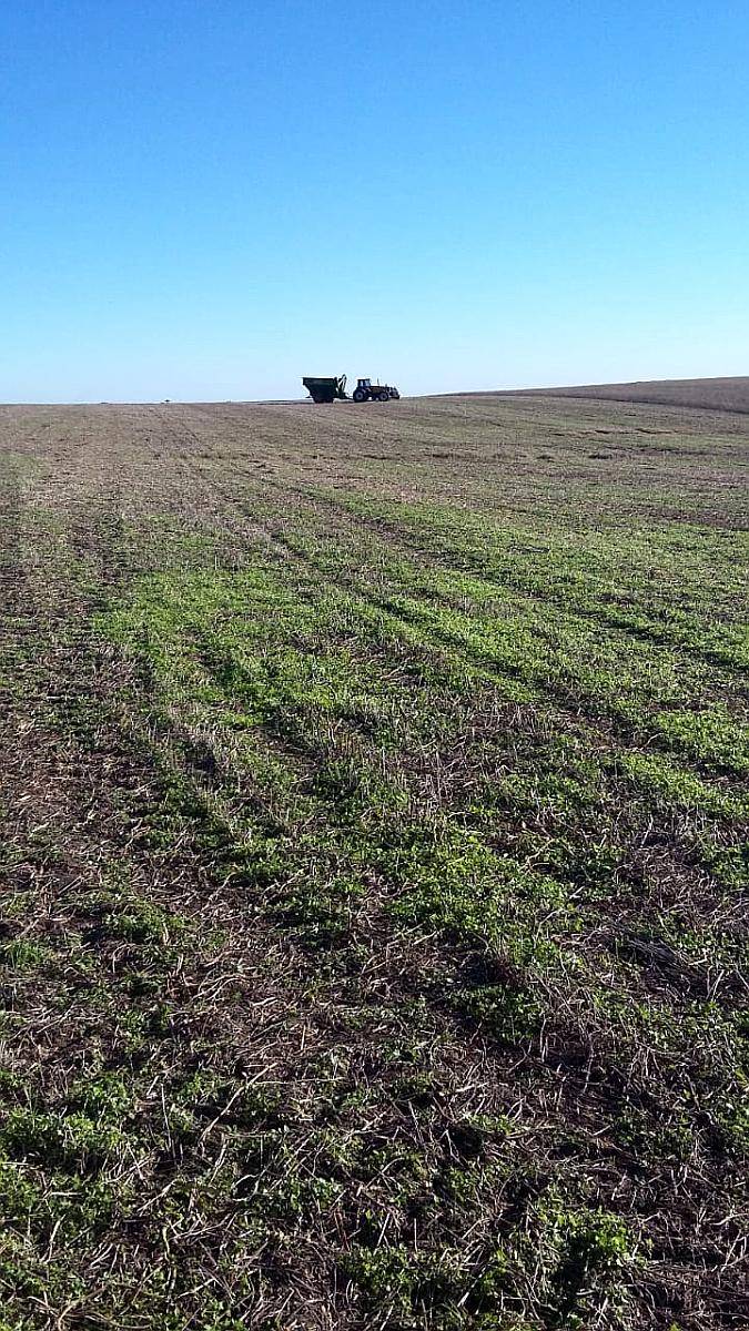 Gualeguay Compro Campo Mixto o Agricola 100 a 700 Has