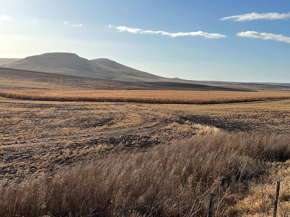 Tandil, Buenos Aires - 850 Ha