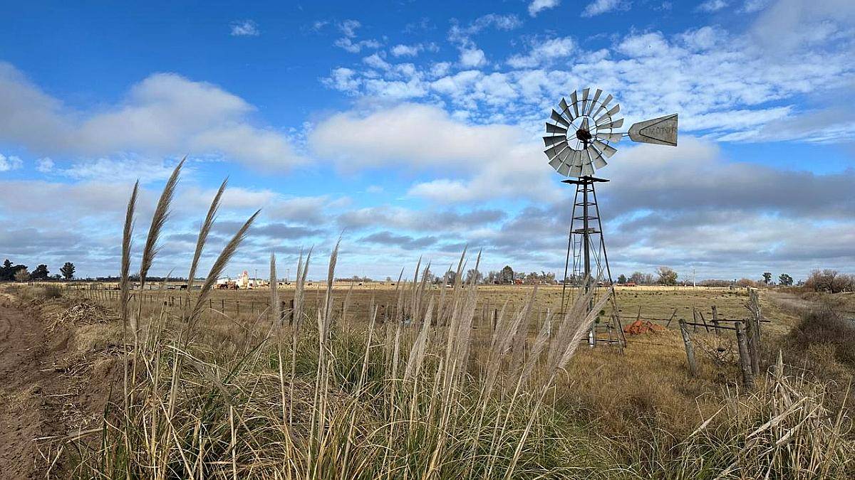 Lote Quinta Oportunidad Villa Maza (adolfo Alsina) Ruta 14