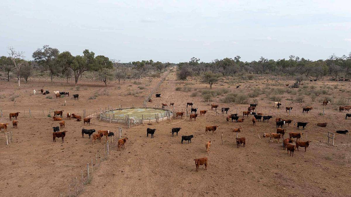 Pcia. de Santiago del Estero - el Cabure 1675 Has