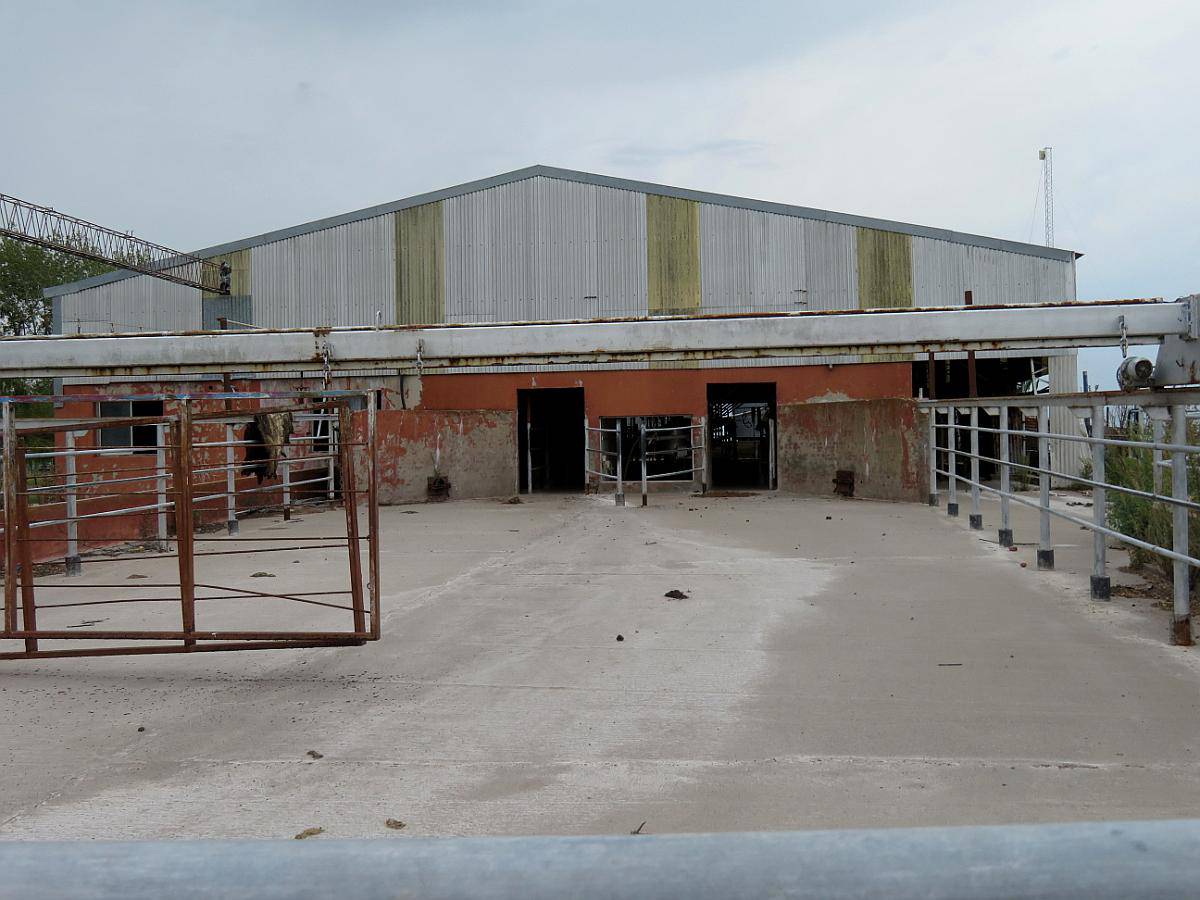 Saladillo – 487 ha - Buenos Aires