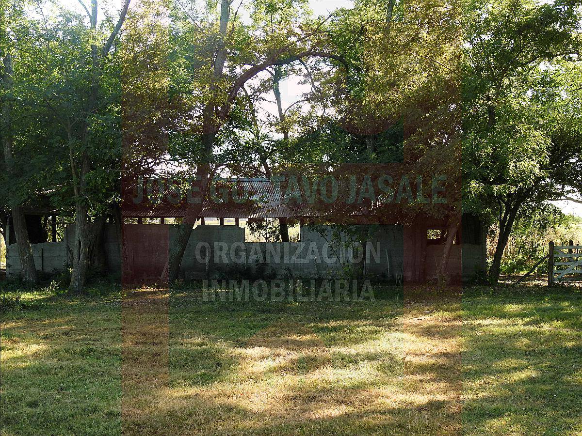 20 Has Casa de Campo Bavio, Buenos Aires. 20 hectáreas. Agroads