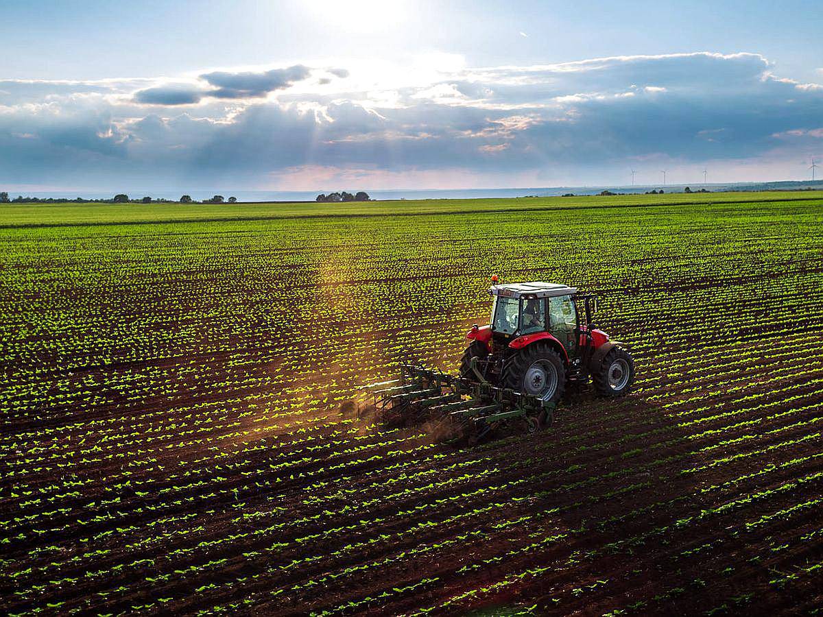 Busco Campo Agrícola en Alquiler-zona NÚCLEO-100 Has o MÁS