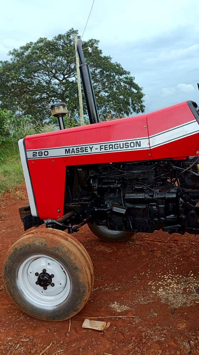 Agrícola Tractor Massey Ferguson 290
