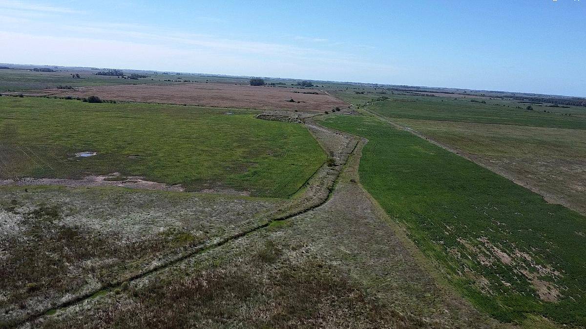 Campo Agrícola en Alquiler