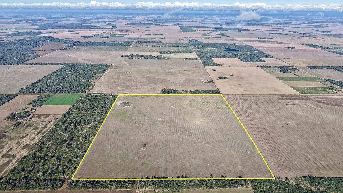73 Has en Venta - Pcia del Chaco, las Breñas