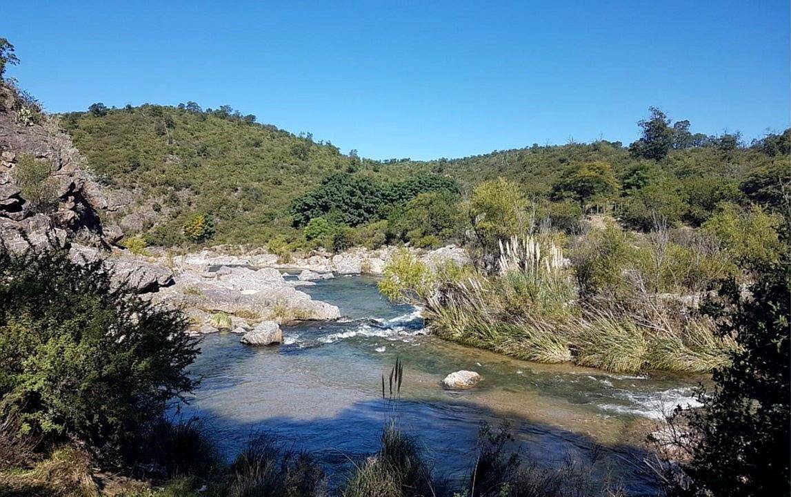 Campo de 453 Hectáreas en Villa de Soto, Córdoba.