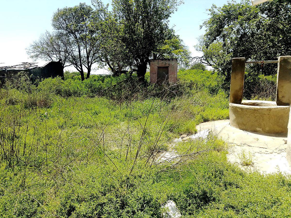 Venta de Campo Bower