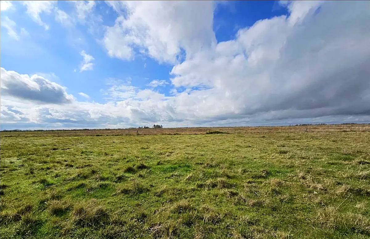 Campo Venta Pila 1400 Ha Ganadero
