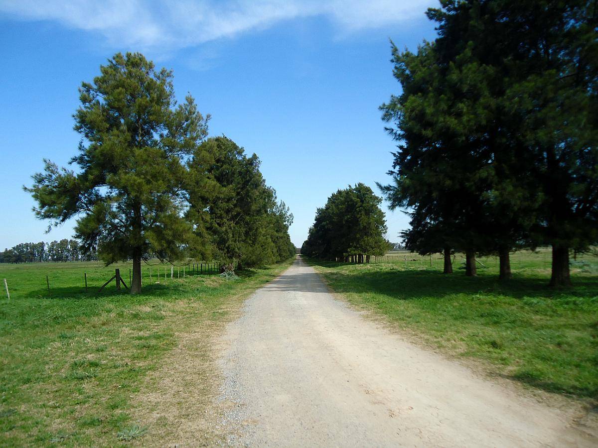 Campo Mercedes - Producción y Turismo