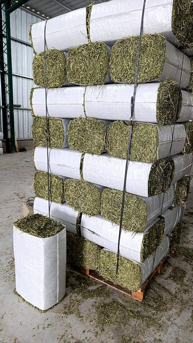 Fardos Compactados de Alfalfa
