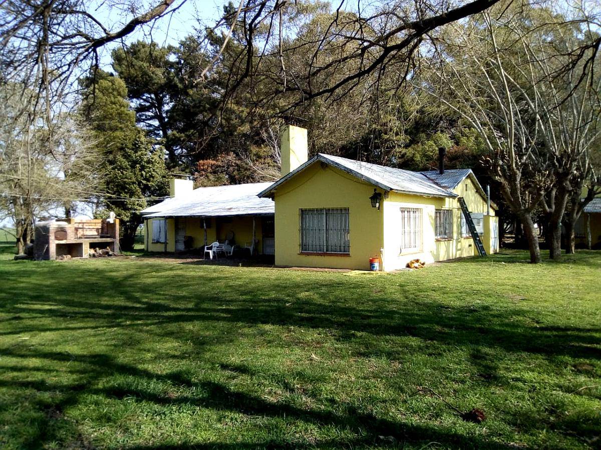 Campo en Venta 230 Has. Mechonge. Gral. Alvarado