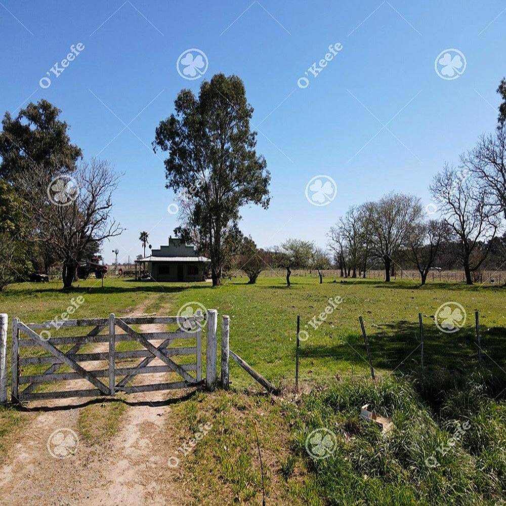 Chacra en Venta de 15 Has en Gral. Belgrano. Agricola