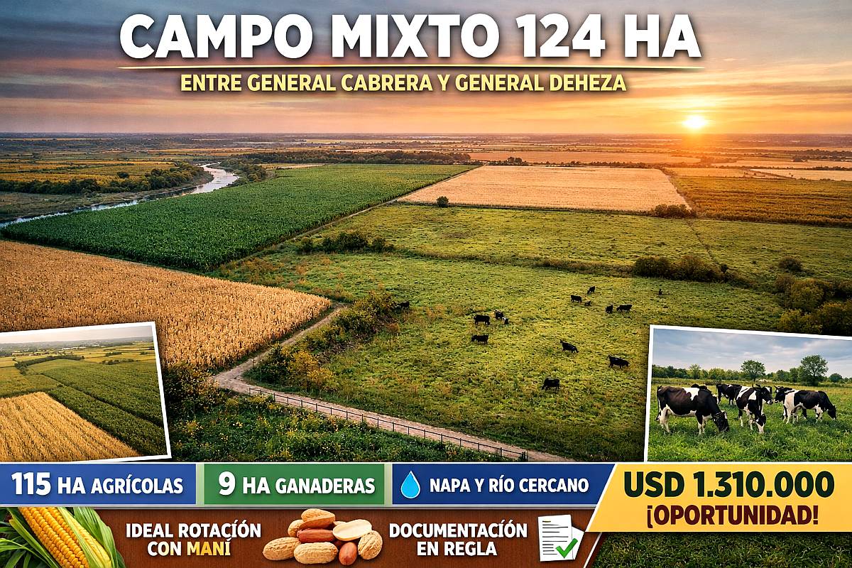 Campo Mixto de 124 Has 529
