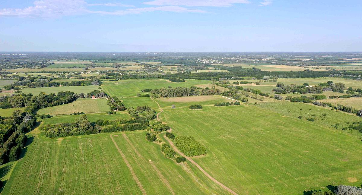 135 Has. Campo en Open Door, Luján